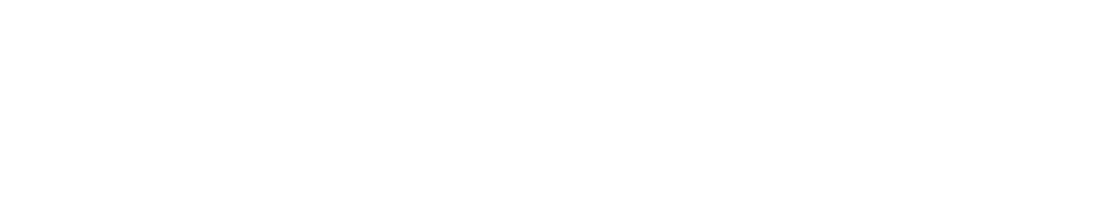 巡鹰