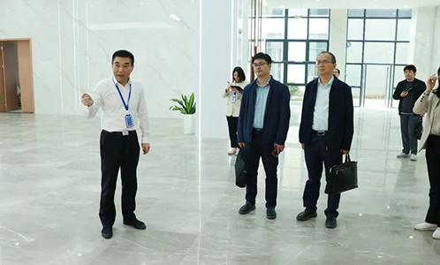 合肥市委组织部党建调研组莅临安徽巡鹰集团调研