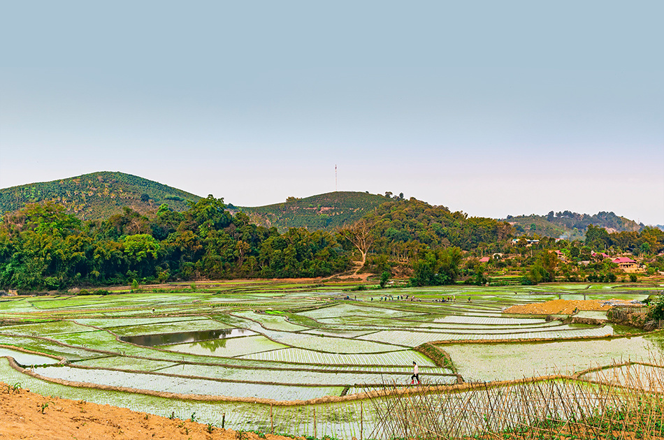 水田封閉除草