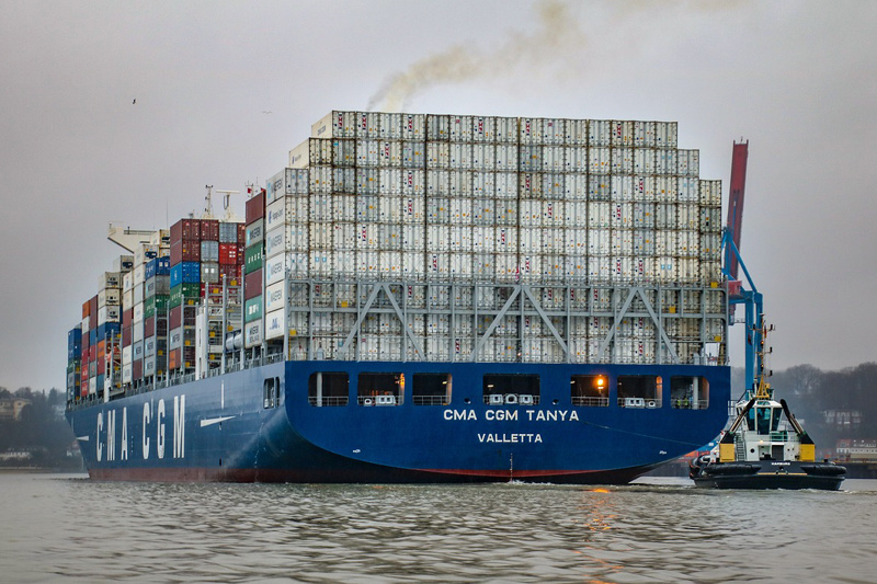 Inspection of loading and unloading of container cargo Inspection of loading and unloading of container cargo