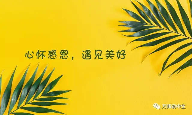 心怀感恩，遇见美好--记万邦初中部枝活动心理课堂